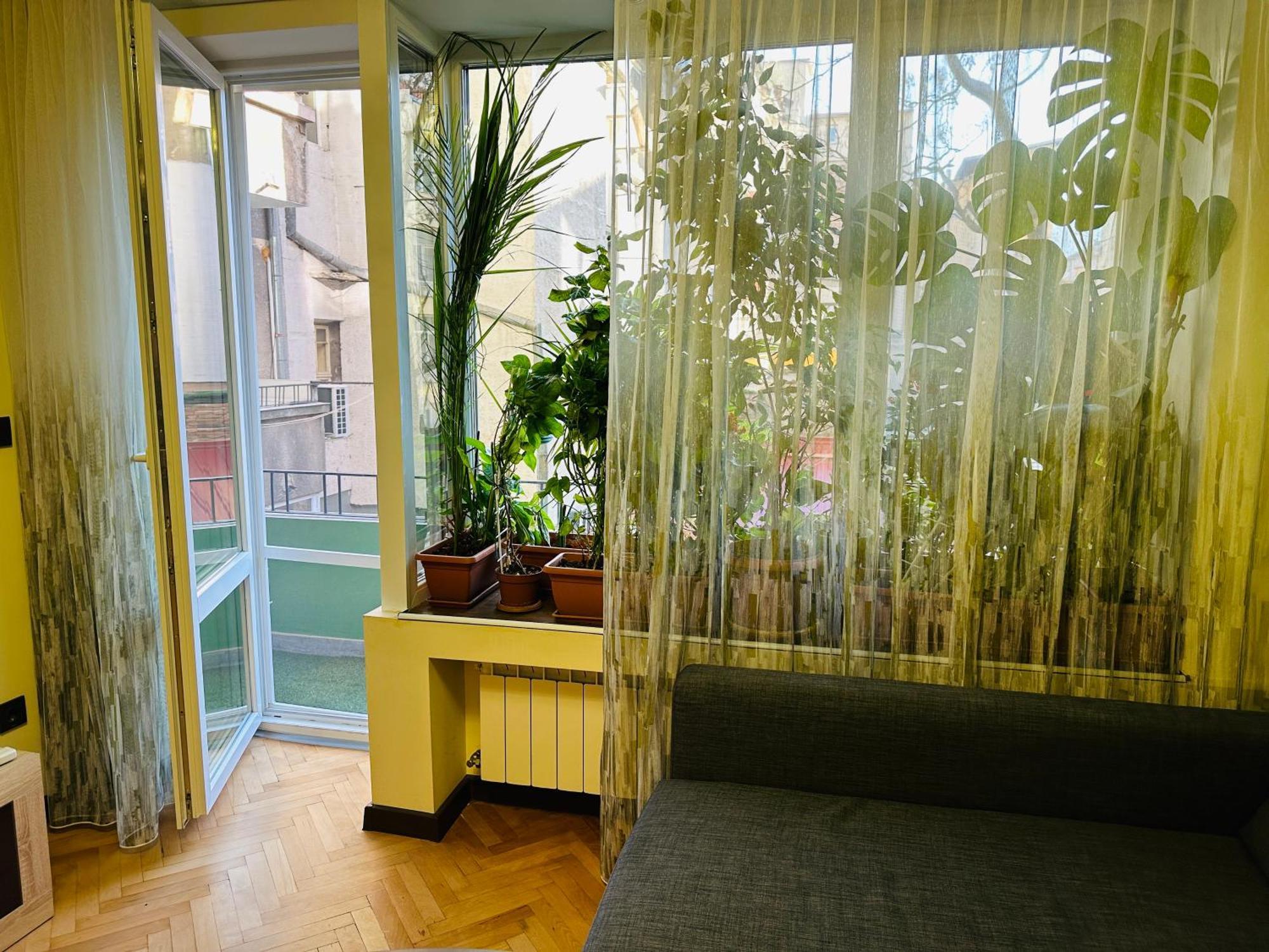 Appartement Luxury Oasis In Absolute Center Of Sofia Extérieur photo